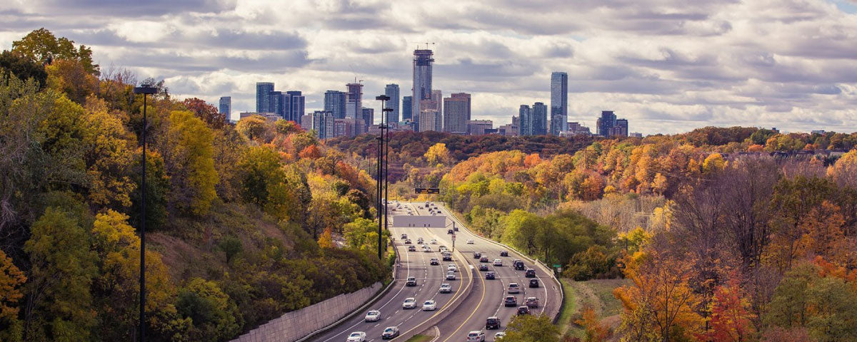 4-Hour Michigan Basic Driver Improvement Course (BDIC)